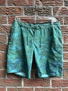 Green Patagonia Board Shorts Swim Trunks Men's Size 31 unlined - Picture 1 of 6