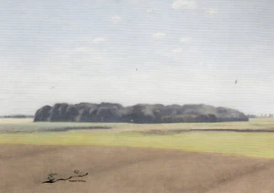 Postkarte: Hammershoi - Dienstagswald / 1893 - Picture 1 of 1