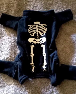 Little Dog Glow in the Dark Skeleton Costume - Image 1 of 4