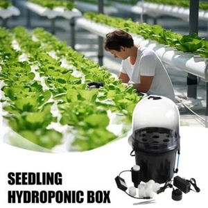 Black 8-hole and 5L Large-capacity Seedling Hydroponic Box Soilless Planti D3P7 - Picture 1 of 13