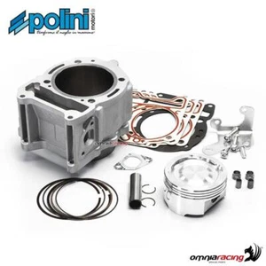 Polini aluminum cylinder kit for Piaggio 300 - Picture 1 of 5