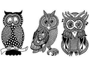 Calcomanías de vidrio fundido negro de 3 pulgadas Wise Owls 3 piezas - Imagen 1 de 1