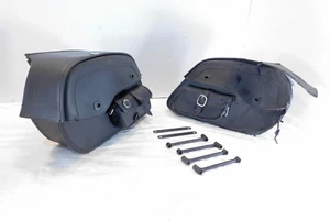 2004-2018 Harley Davidson Sportster 883 & 1200 Left & Right Side Bag Saddlebags - Picture 1 of 11
