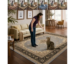 Large Traditional Rugs Living Room Rugs Bedroom Carpet Hallway Runners Floor Mat - Picture 1 of 33
