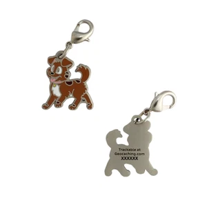 Tracker Nano Geocoin/Zipper pull/Charm with clasp Geocaching Hund Clip Anhänger - Bild 1 von 1