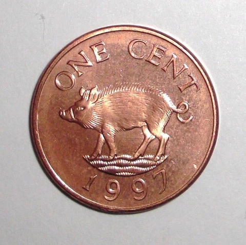 1997 Bermuda 1 cent, Wild boar, pig, animal wildlife coin Cover