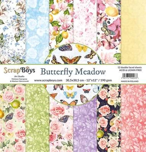 Butterfly Meadow Collection 12 x 12in Double Sided Paper - Scrap Boys - Picture 1 of 12