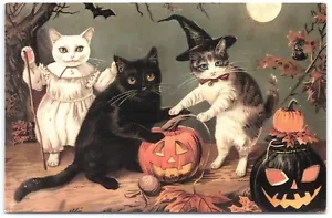 3 Cats JOL Modern Halloween Postcard Standard Size Witch Black White Kitten Moon - Picture 1 of 2