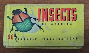 5½x3½"Vintage Childrens Insects of America 90 Color Illustrations Hardcover Book - Picture 1 of 18
