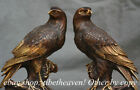 8.8" Old Chinese Copper Feng Shui Eagle Hawk Bird Black-Eared Kite Statue Pair