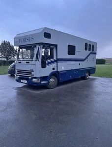 Iveco Cargo Horse Lorry 3- Horse 7.5 Tonne, 2000 , Iveco Ford , Living , - Picture 1 of 14