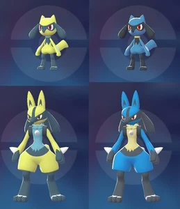 Shiny/Non Shiny Riolu und Lucario 6Dv/Ev Max Pokémon Z-A - Picture 1 of 37