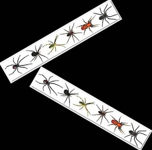 Gothic Realistic SPIDERS FRIGHT TAPE Creepy Border Spider-man Party Decorations - Picture 1 of 5