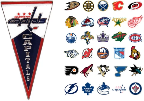 NHL Pennant Pin - Choose Your Team Cover