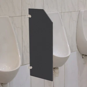 Panel de partición de urinario de ángulo biselado montado en la pared pantalla de urinario partición de inodoro - Imagen 1 de 10