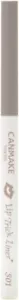New 2024 Canmake S01 Lip Trick Liner for Bruising gray and Shading Lips 1.5mm - Picture 1 of 5