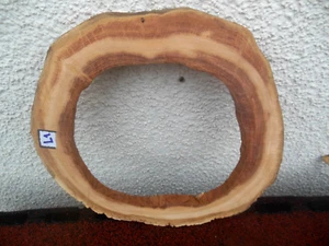 Baumscheibe Astscheibe Wildkirsche Ring 28 cm für Epoxidharz Deko Basteln - Bild 1 von 5