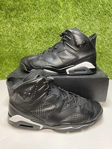 Air Jordan 6 Black Cat Retro Size 12 Mens Sneakers 2016 384664-020 - Picture 1 of 10