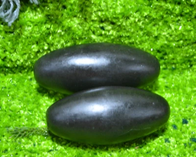 Piedra Shivling Natural Río Narmada | Lingam Shiva Sagrado para Puja y Meditación Foto 1 de 4