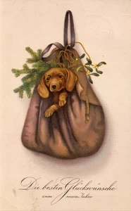 AK junger DACKEL im Rucksack, Glückwünsche NEUJAHR 10er - Picture 1 of 1