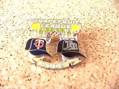 2007 Minnesota Twins Tampa Bay Devil Rays Spring Training Grapefruit League pin - Image 1 of 3