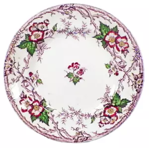 Plato de almuerzo en flor de manzana Pinder & Bourne Morera Transferware años 1860 - Imagen 1 de 6