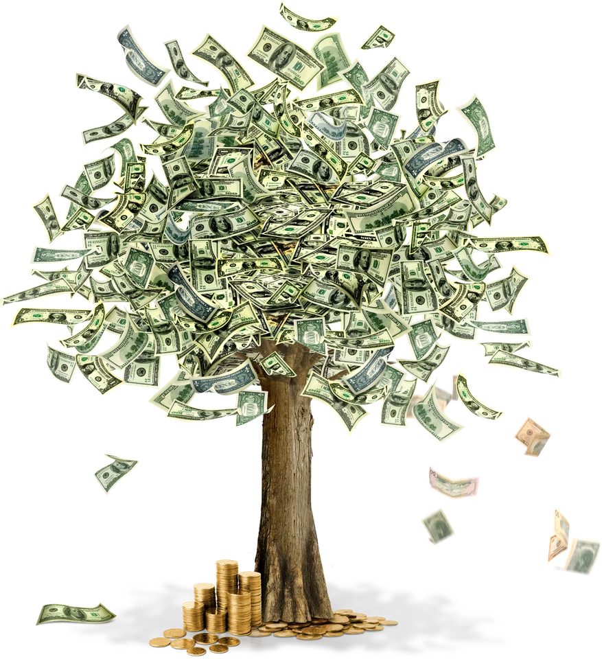 Money Tree Cash Dollars Currency Poster Picture Photo Art Print Reproduction - Image 1 of 1