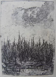 Giovanni FATTORI (Livorno 1825 - Firenze 1908) Laghetto Acquaforte Incisione - Foto 1 di 10