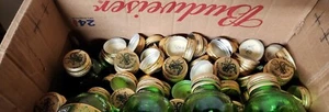 12 Mickey's Twist Off Big Mouth Malz Schnaps Bier Kronkorken Mickey Mickeys - Bild 1 von 1