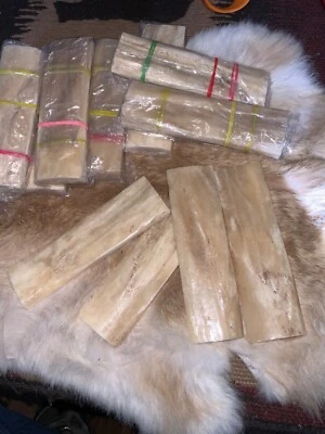 Escalas de corteza de hueso de camello, juego de 2 cuchillos, 5” X 1,5” X 1/4” natural, sin rellenos Foto 1 de 4