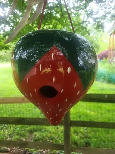 Hand Painted "Strawberry" Gourd Birdhouse - Amish Crafted, Lancaster Cnty PA - Picture 1 of 3