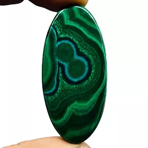 99.20 Cts Natural Malachite 54x25mm Oval Cabochon Loose Pendant Size Gemstone - Picture 1 of 9