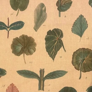 DESIGNERS GUILD A Leaf Study digital print linen cotton green remnant new - Picture 1 of 1