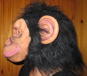 SCHIMPANSE Geld SCHIMPANSE Gummi Latex GESICHTSMASKE HALLOWEEN KOSTÜM mit HAAREN Einheitsgröße - Bild 1 von 2