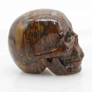 brown gold crinoid jasper jade , carved skull,realistic,crystal healing K501 - Picture 1 of 6