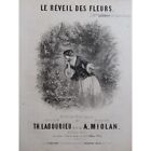 Miolan Alexander Der Wecker Blumen Gesang Piano ca1850