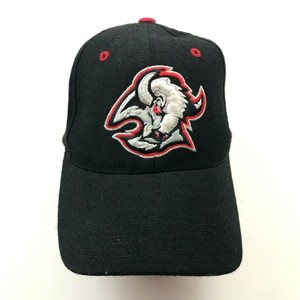 Buffalo Sabres Black NHL Fan Cap, Hats 