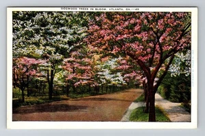 Atlanta, GA-Georgia, Hartriegel Bäume in Blüte Antik, Vintage Souvenir Postkarte - Bild 1 von 2