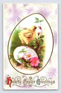 Postcard Easter Chick Egg Pink WIld Dog Rose Flower 1910s Unposted Stecher 105 F - Picture 1 of 2