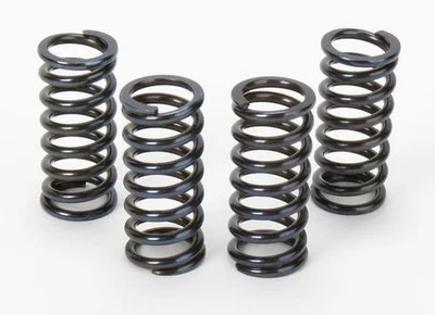 MUELLES DE EMBRAGUE VESRAH - SK-211 VSK211 Foto 1 de 4