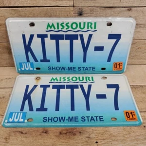 X2 MISSOURI MATRÍCULA VINTAGE ETIQUETA PERSONALIZADA GATITO-7 TOCADOR 01' - Imagen 1 de 8