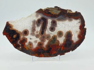 Specimen Brazilian Polished Agate Slice - Picture 1 of 1