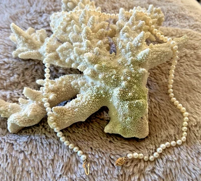 1950s Pearl Necklace With 14 Karat Gold Clasp-18 inches -over 90 pearls - Image 1 of 3