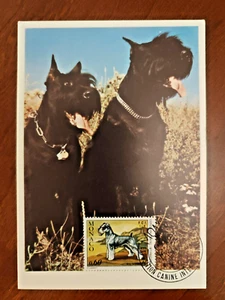 MONACO FDC CARTE MAXIMUM EXPOSITION CANINE 1974 - Foto 1 di 1