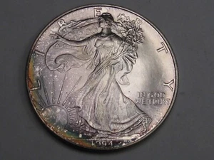 Dólar fino American Eagle de plata SAE 1994 fecha clave tono 0,999.  #11 - Imagen 1 de 7