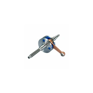 ALBERO MOTORE POLINI 2100006 PER MALAGUTI F10 PHANTOM F12 F15 CIAK CENTRO - Foto 1 di 1