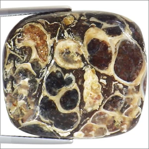29.20 Ct Natural Turtella Jasper Gemstone Multi Color Cushion Cut - Picture 1 of 2