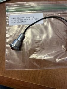 Cole Hersee PL-19-AC000-bx HEAVY-DUTY PILOT LIGHT Amber Chrome 3/4" Dia 12V - Picture 1 of 7