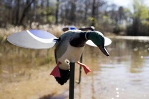 Baby MOJO Mallard® Drake Spinning Wing Decoy HW4401 - Bild 1 von 3