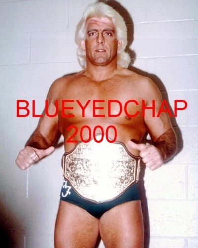 RIC FLAIR WRESTLER 8 X 10 WRESTLING PHOTO NWA WCW WWF - Image 1 of 1